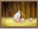 data/multiposts/Ostern/Ostern-E-Card-Ostergrusskarte Eierdieb_thumb_0.jpg